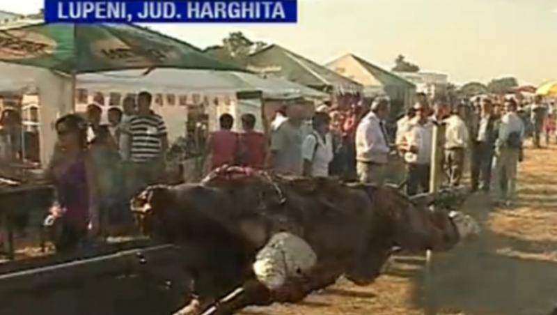 VIDEO! Festivalul Carbunelui din Harghita, raiul gurmanzilor