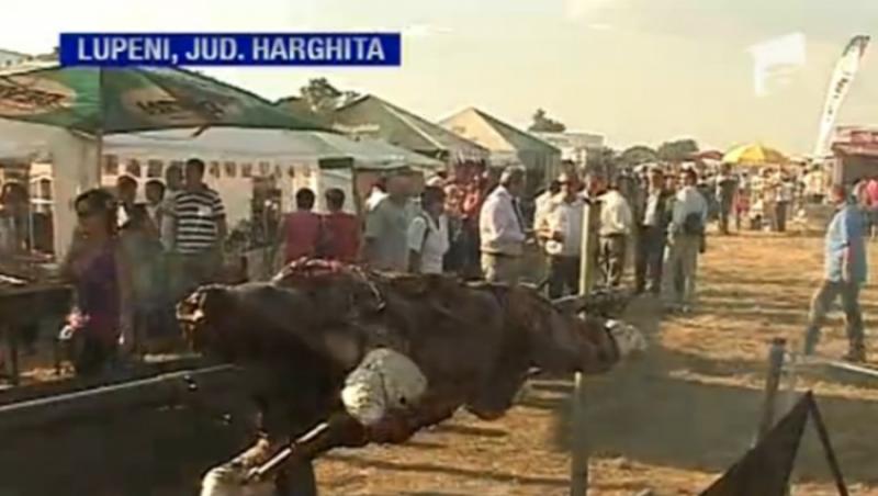 VIDEO! Festivalul Carbunelui din Harghita, raiul gurmanzilor