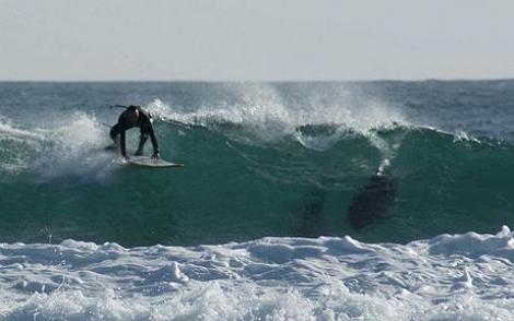 Panica pe coasta Australiei: Un surfer a fost sfasiat in doua de un rechin