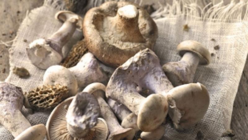 Cum sa cureti si sa depozitezi ciupercile