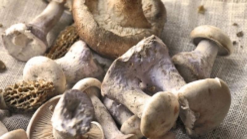 Cum sa cureti si sa depozitezi ciupercile