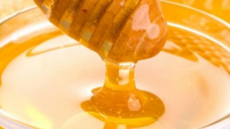 CEJ interzice comercializarea mierii de albine din porumb modificat genetic