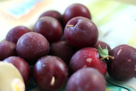 Prunele, sursa de sanatate din sezonul toamnei