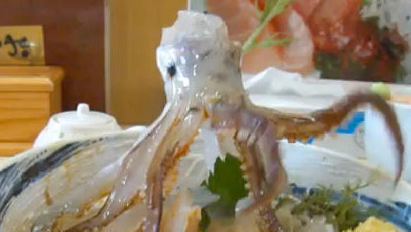 FOTO! Calamarul care invie in farfurie