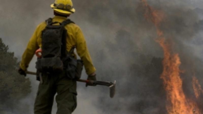 Incendiu in Biosfera Deltei Dunarii: 15 hectare de vegetatie, facute scrum