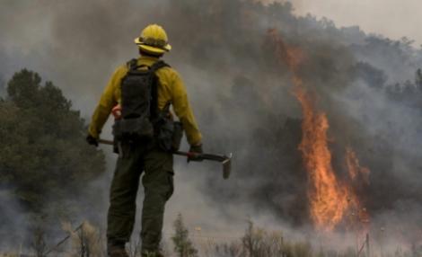 Incendiu in Biosfera Deltei Dunarii: 15 hectare de vegetatie, facute scrum