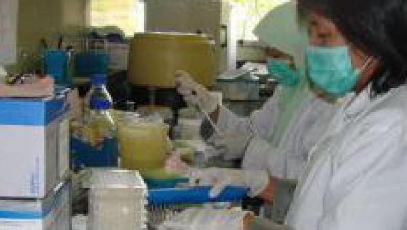 Deces provocat de gripa aviara, confirmat in Indonezia