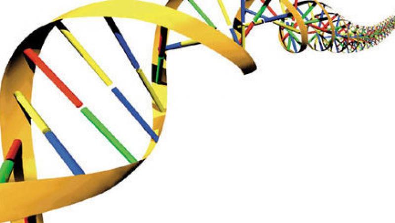 Analiza ADN-ului iti poate spune cat timp vei trai!