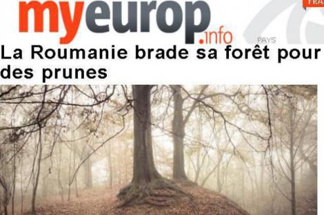 Presa franceza: Romania isi vinde padurile pe prune