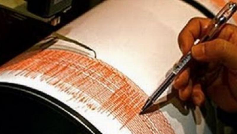 Cutremur de 3.8 pe scara Richter, in Campia Romana