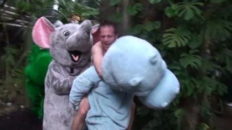 VIDEO FUNNY! O gradina zoologica a fost vandalizata de... Tarzan!