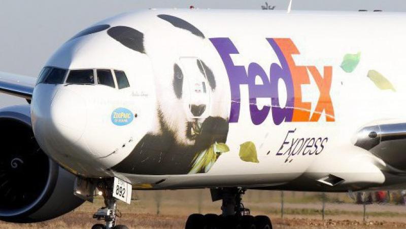 FOTO! Doi ursuleti panda au zburat cu avionul pana in Franta