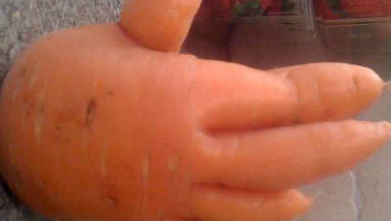 FOTO! Anomaliile naturii: morcovi in forma de mana!