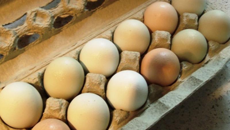 Romania, amenintata cu infringementulul din cauza oualelor