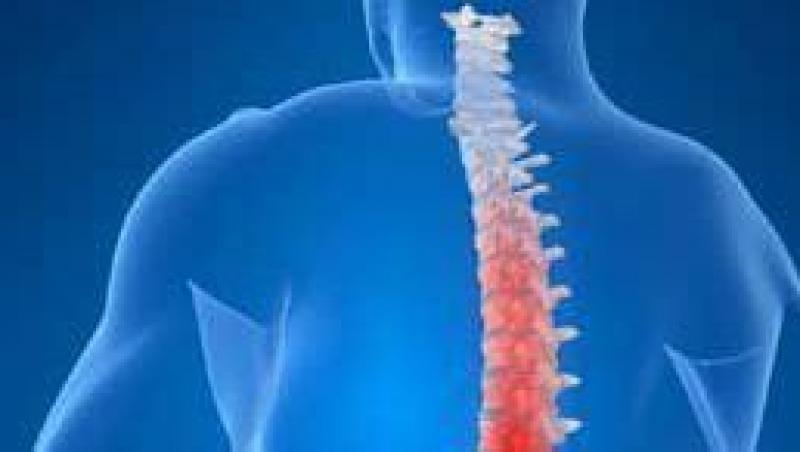 Maduva spinarii poate fi vazuta 3D, fara ca tesuturile sanatoase sa fie afectate