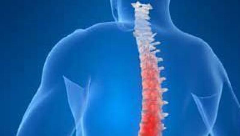 Maduva spinarii poate fi vazuta 3D, fara ca tesuturile sanatoase sa fie afectate