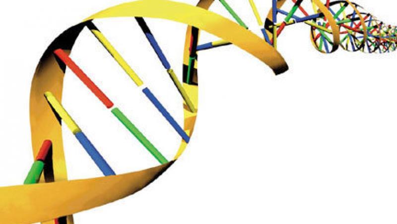 Aparatul care poate decoda genomul uman in doar cateva ore
