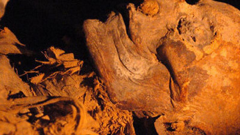 A fost descoperita o mumie canceroasa!