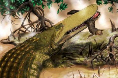 "Shieldcroc", stramosul crocodilului african, descoperit in Maroc