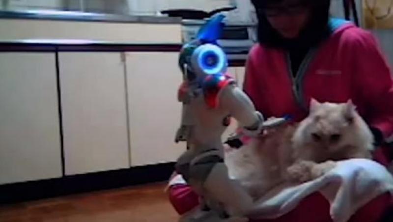 VIDEO! S-a inventat robotul pentru pisici cu blana frumoasa
