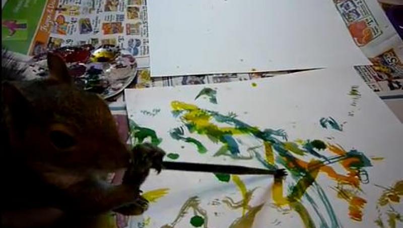 VIDEO! Vezi veverita care picteaza pe hartie!