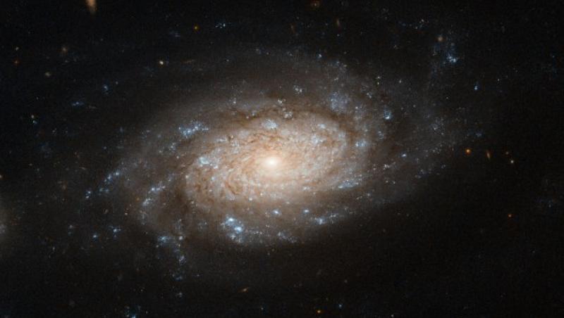 Vezi noua galaxie spirala, descoperita de Hubble!