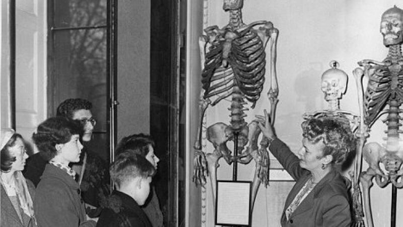 Inmormantat dupa 200 de ani! Vezi cel mai mare schelet uman!
