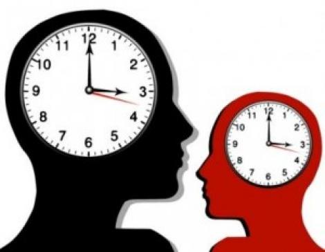  8 intervale orare in care creierul tau functioneaza cel mai bine 