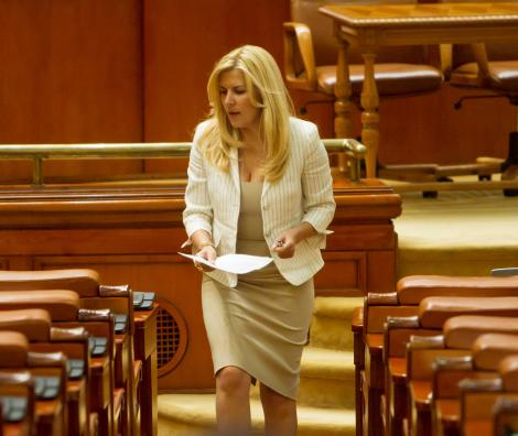 Elena Udrea si-a anuntat candidatura pentru Camera Deputatilor, la Roman