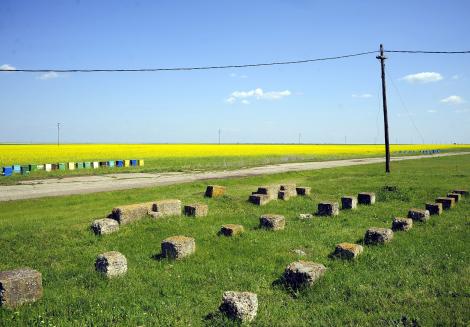 Strainii vor avea limita la cumpararea terenurilor din Romania