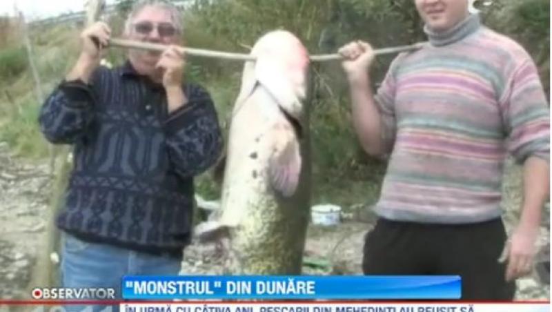 Somn urias prins in Dunare! Monstrul cantareste 50 de kilograme
