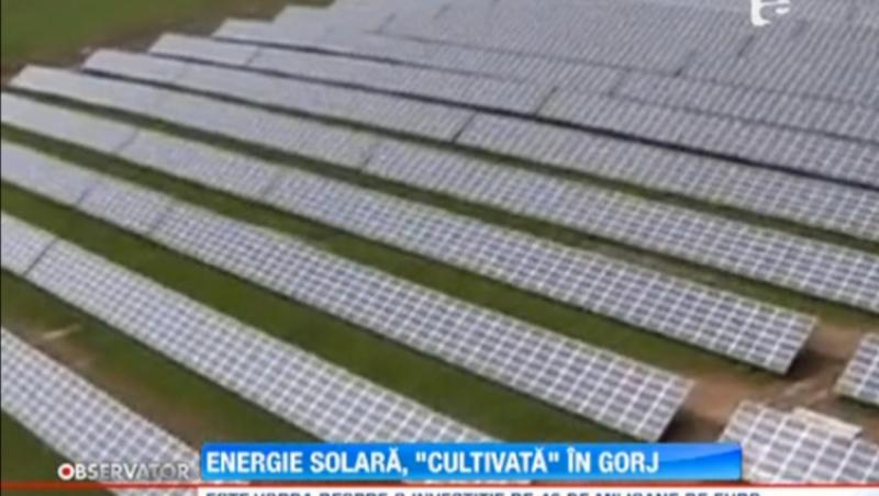 Cel mai mare parc fotovoltaic din Romania va fi construit in Gorj