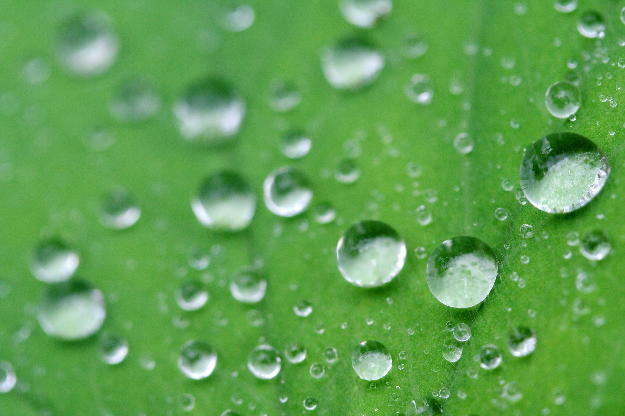 Procesiunile de Sf. Dumitru restrictioneaza traficul din Capitala