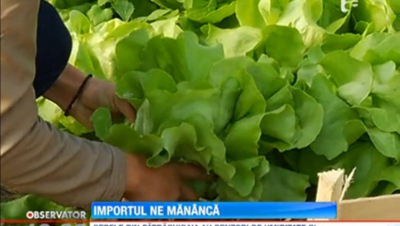 Romania este in topul mondial al importatorilor de legume