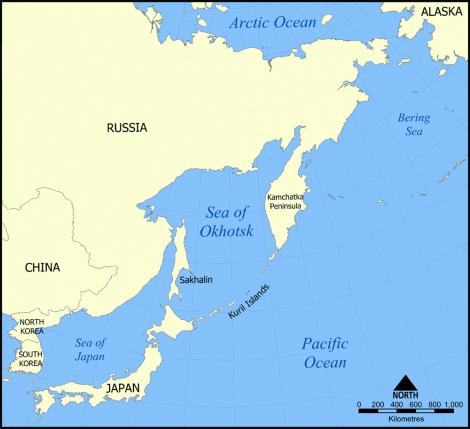 Tragedie. O nava care transporta 700 de tone de minereu de aur a disparut in Marea Ohotsk 