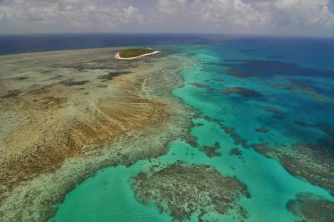 Marea Bariera de Corali, in pericol! Recifele s-au injumatatit in ultimii 27 de ani