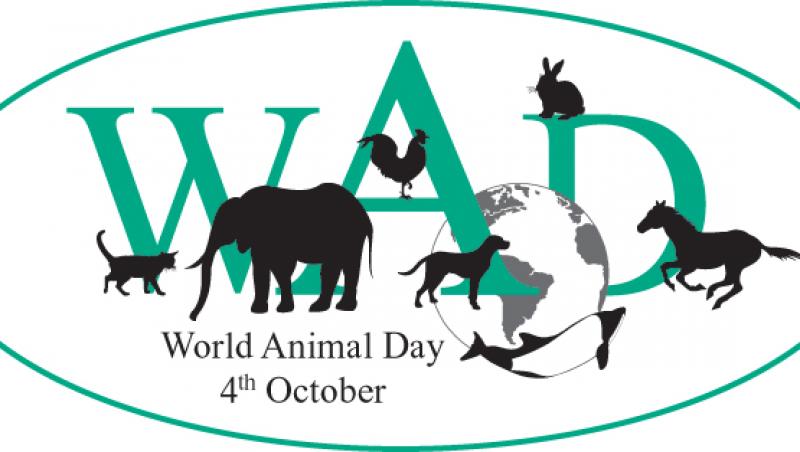 Astazi sarbatorim Ziua internationala a animalelor!
