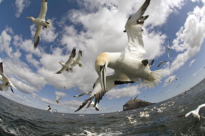 Tehnologie noua si camere personalizate pentru un documentar revolutionar