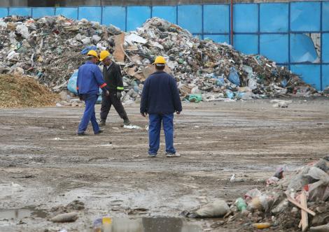 Reciclarea gunoiului: 1% in Romania, 99% in Suedia. Independenta energetica, aruncata la groapa