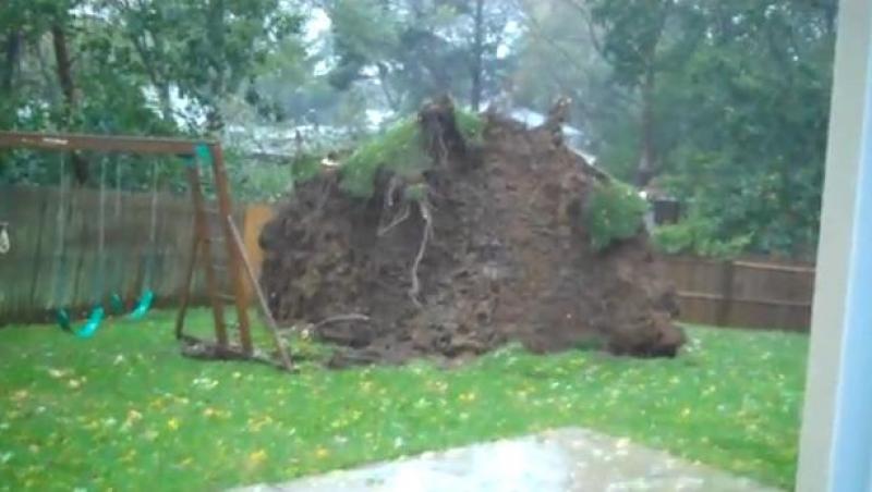 Dovada fortei uraganului Sandy: Un copac a fost smuls cu tot cu o bucata din gradina unui american