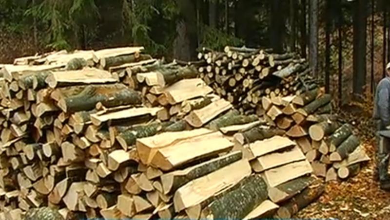 Taietorii de lemne isi apara cu toporul afacerile din care castiga milioane de euro anual