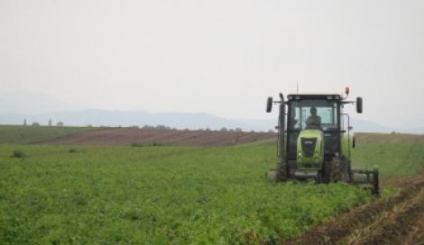 Cat castiga cel mai bogat agricultor din Romania