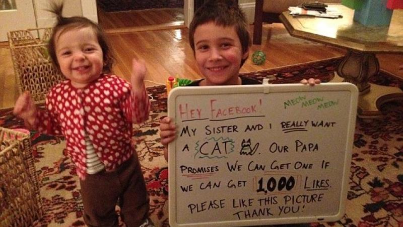 VIRAL pe Facebook! Ce au facut doi copii pentru a-si convinge parintii sa le ia o pisica