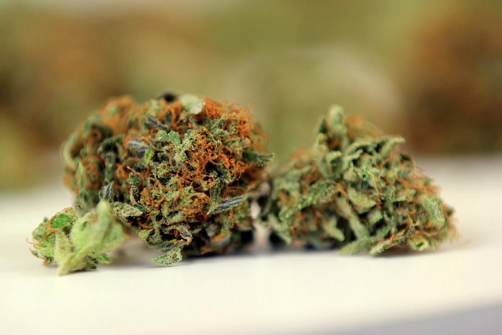 New York: Un "dealer" vinde droguri pentru a ajuta oamenii afectati de uraganul Sandy