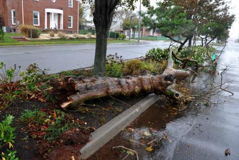 Uraganul Sandy si-a luat tributul: cel putin 40 de morti anunta Politia din New York