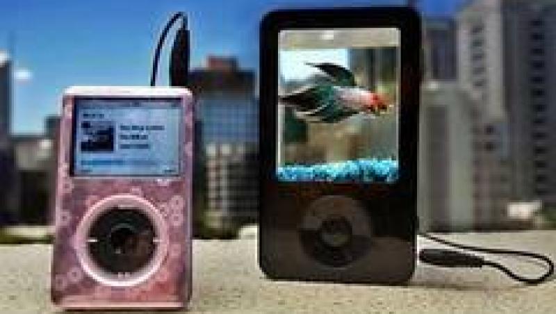 GALERIE FOTO! Cele mai neobisnuite acvarii din lume: cabina telefonica sau televizorul