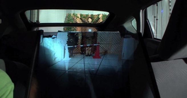 Tehnologia de camuflaj optic avanseaza &ldquo;cum vezi cu ochii&rdquo;