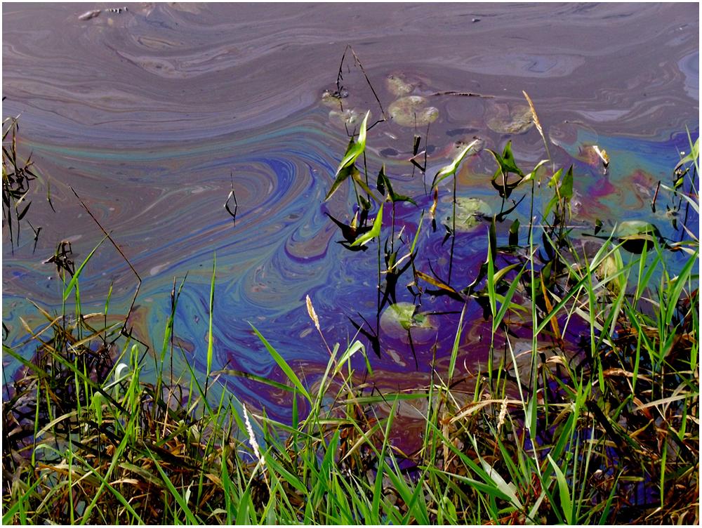 Ecosistemul Dunarii, in pericol dupa scufundarea unei nave care transporta carburant