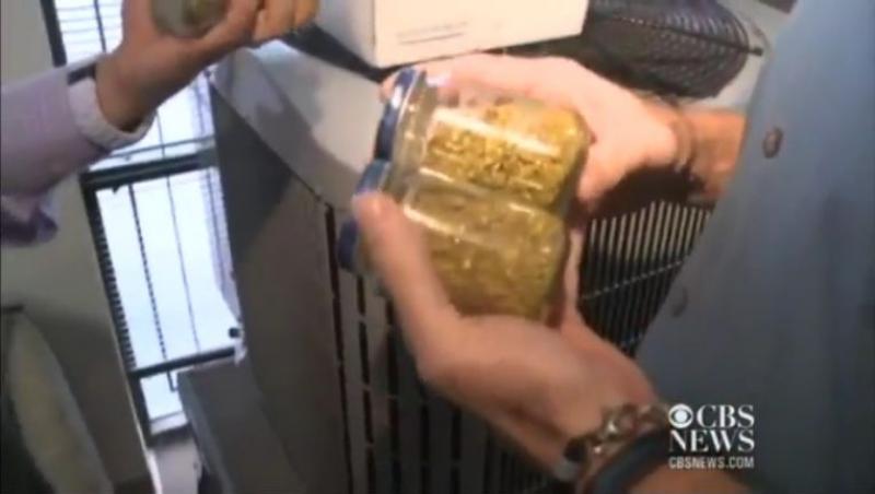 Doi instalatori americani au gasit o comoara sub dusumea. 12 borcane pline cu praf de aur