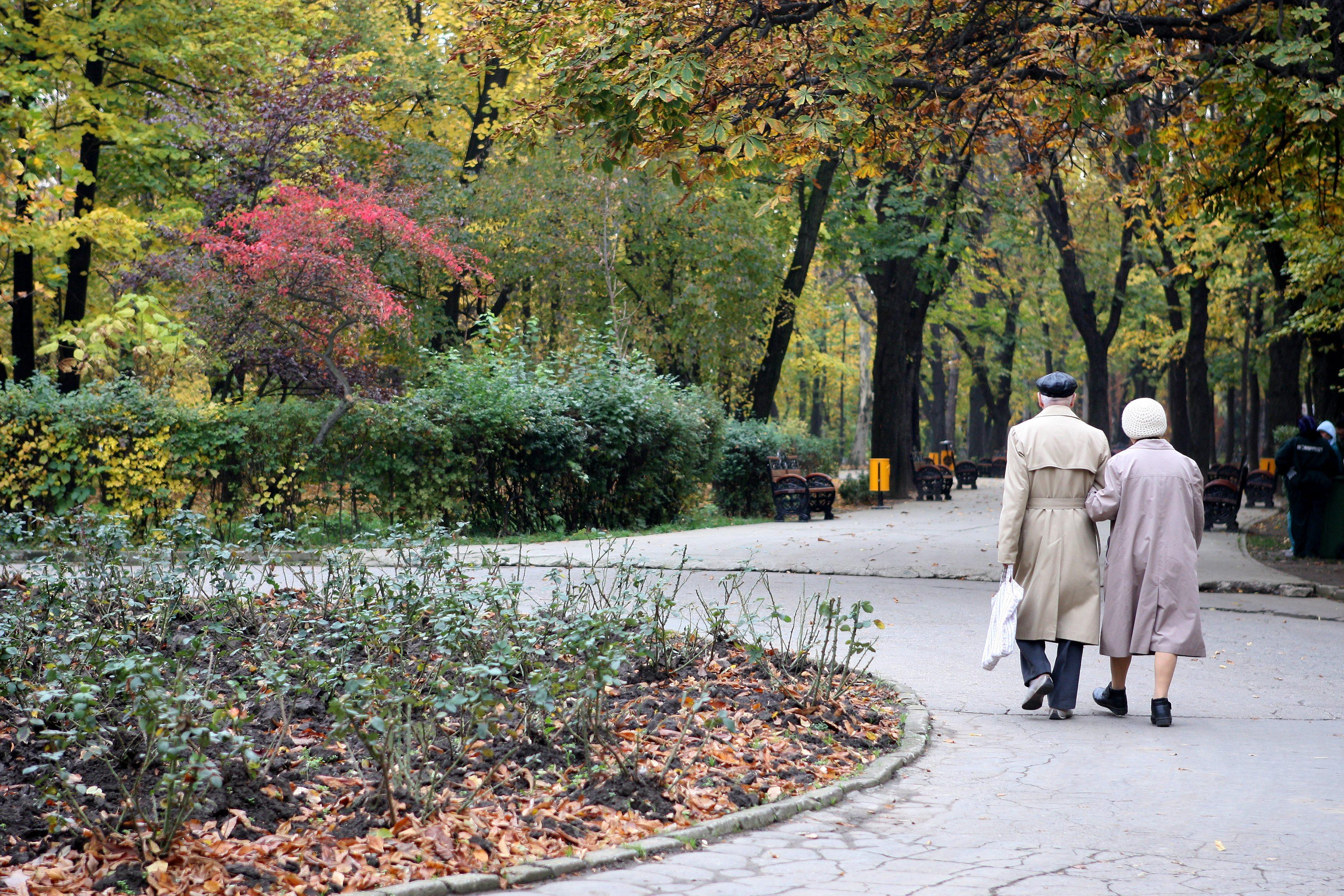 Vremea se incalzeste in toata tara! Sfarsitul lui noiembrie aduce temperaturi de 18-19 grade